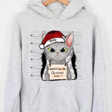 Personalized I Knocked Over The Christmas Tree  Cat Lovers Tshirt Hoodie Or Sweatshirt Printed QTDT2511