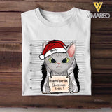 Personalized I Knocked Over The Christmas Tree  Cat Lovers Tshirt Hoodie Or Sweatshirt Printed QTDT2511