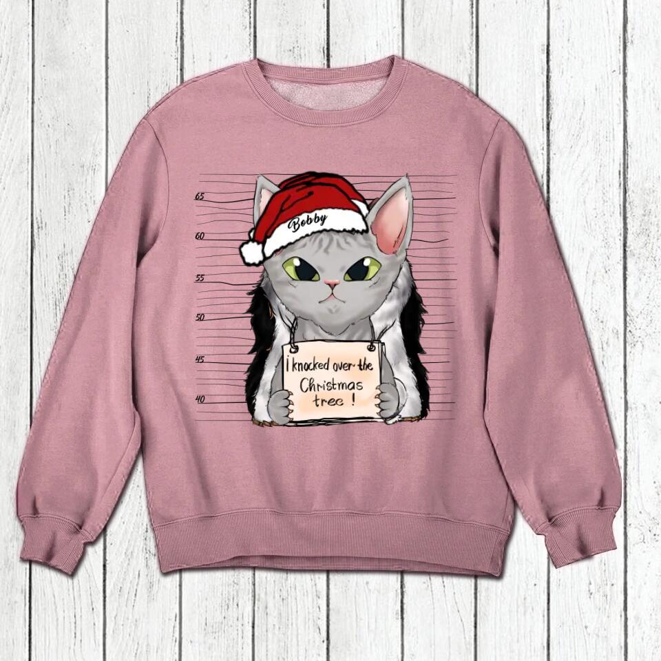 Personalized I Knocked Over The Christmas Tree  Cat Lovers Tshirt Hoodie Or Sweatshirt Printed QTDT2511