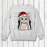 Personalized I Knocked Over The Christmas Tree  Cat Lovers Tshirt Hoodie Or Sweatshirt Printed QTDT2511