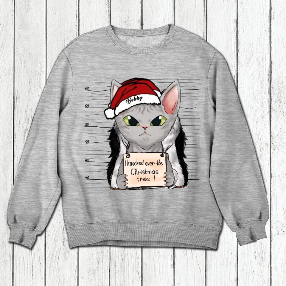 Personalized I Knocked Over The Christmas Tree  Cat Lovers Tshirt Hoodie Or Sweatshirt Printed QTDT2511