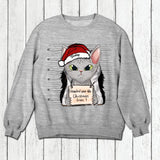Personalized I Knocked Over The Christmas Tree  Cat Lovers Tshirt Hoodie Or Sweatshirt Printed QTDT2511