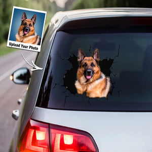 Personalized Upload Your Dog Photo Decal Printed PTN2023146