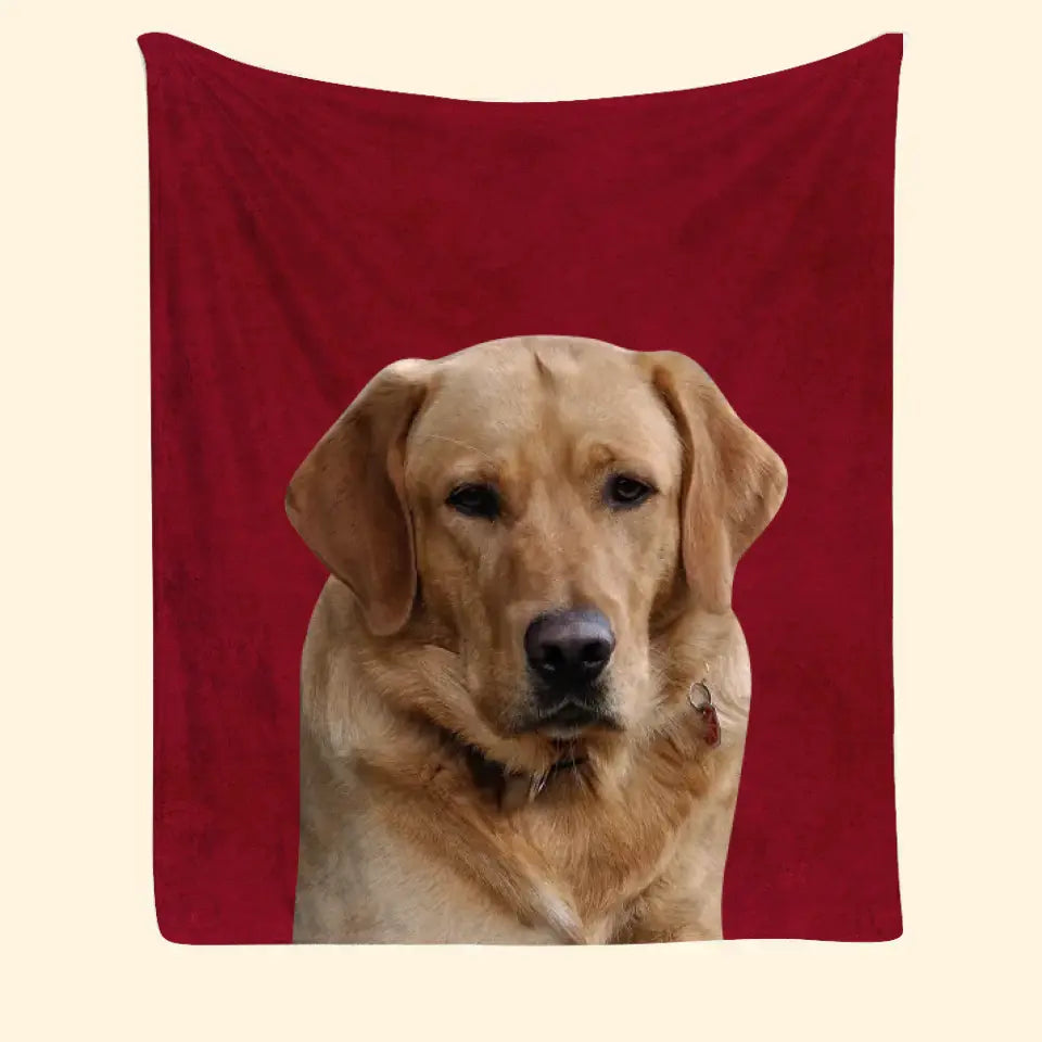 Personalized Upload Your Pet Photo Dog Lovers Cat Lovers Gift Sherpa or Fleece Blanket Printed HN231529