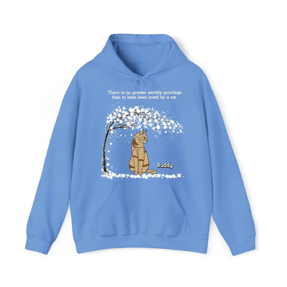 Personalized Upload Your Cat Photo Cat Lovers Gifts Custom Name Hoodie 2D Printed VQ231574