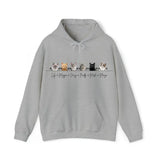 Personalized Upload Your Cat Photo Cat Lovers Gifts Hoodie 2D Printed VQ231583