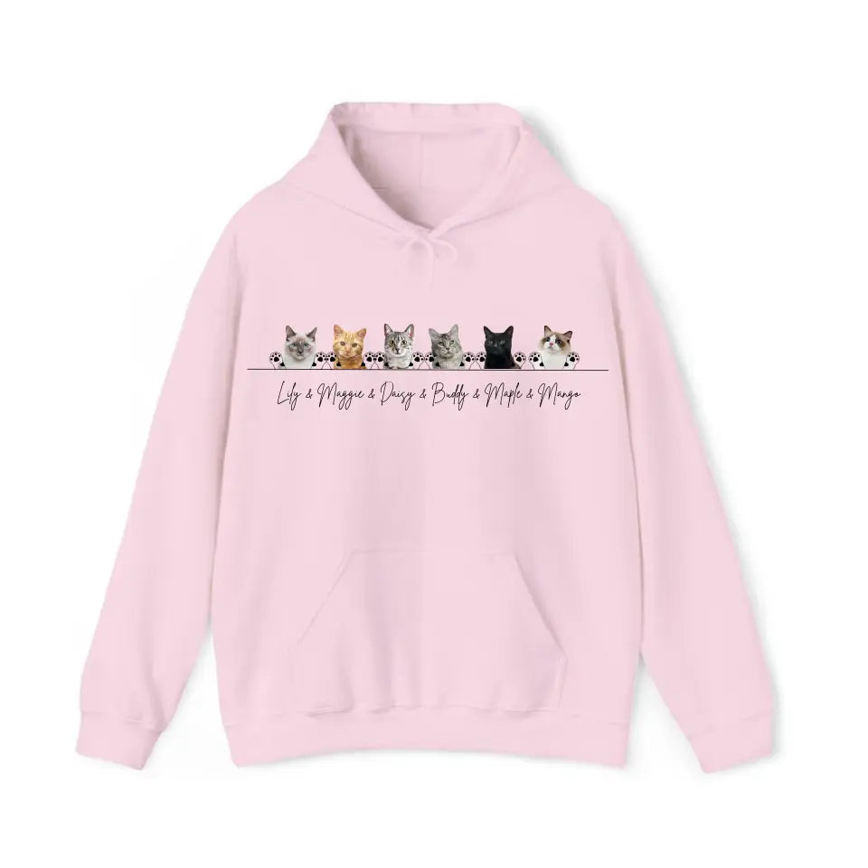 Personalized Upload Your Cat Photo Cat Lovers Gifts Hoodie 2D Printed VQ231583