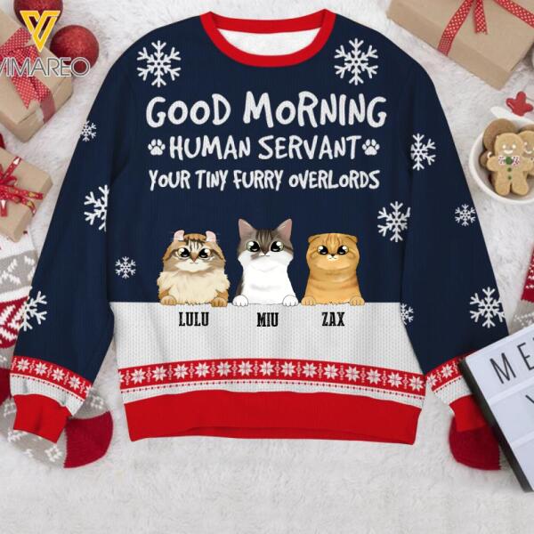 PERSONALIZED CAT GOOD MORNING HUMAN SERVANT CHRISTMAS SWEATER QTTQ2611