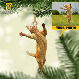 PERSONALIZED CAT PHOTO HANGING ORNAMENT DEC-LN09