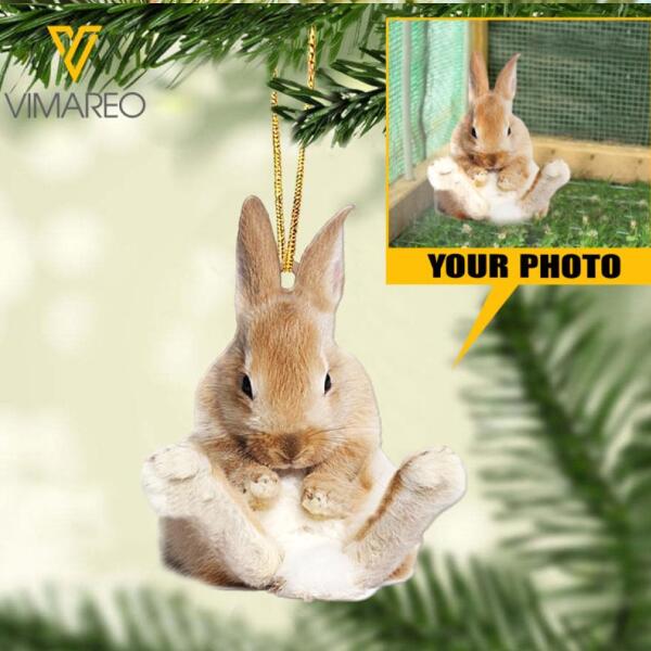 PERSONALIZED Rabbits PHOTO HANGING ORNAMENT DEC-LN09