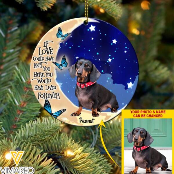 DH PERSONALIZED DACHSHUND DOG PHOTO HANGING ORNAMENT DEC-MA09