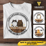 Personalized I Like Cats and Champagne and Maybe 3 People Tshirts QTDT0404