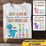 PERSONALIZED JUST A MOM GRANDMA TRYING TO RAISE TINY HUMANS TSHIRT QTVQ2704
