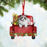 Personalized Cat Red Truck Dear Santa Define Naughty Ornament Printed QTDT1011