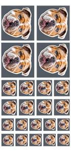 Personalized Upload Your Dog Photo Sticker Printed PNHQ1703