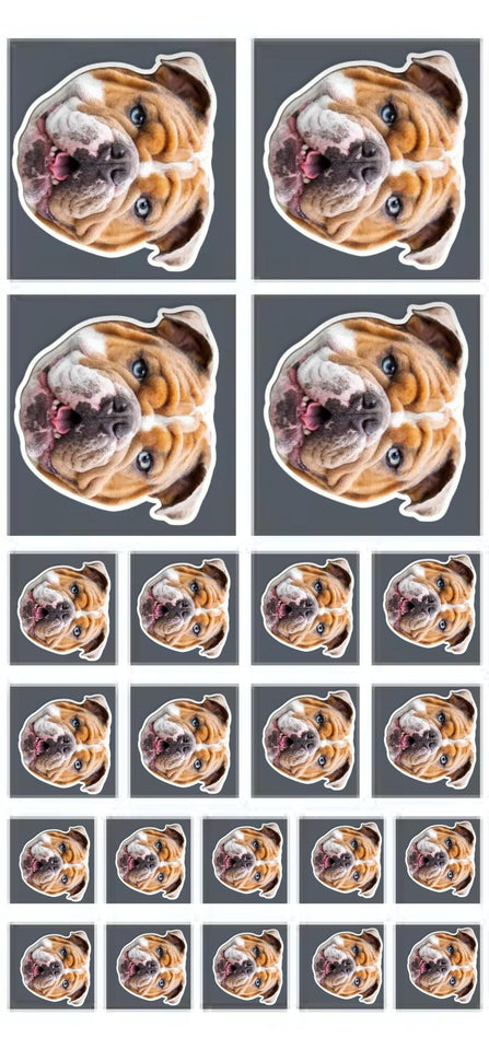 Personalized Upload Your Dog Photo Sticker Printed PNHQ1703