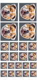 Personalized Upload Your Dog Photo Sticker Printed PNHQ1703