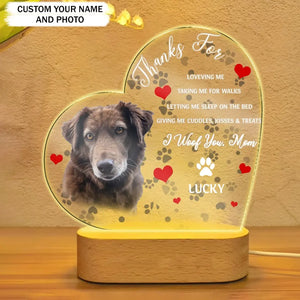 Personalized  Upload Your Dog Photo Thanks For Loveving Me Taking Me For Walks Letting Me Sleep On The Bed I Woof You Mom LED Lamp Printed MTPD2023131