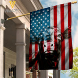 Angus Cattle Flag MAY-DT13