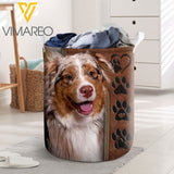 Australian Shepherd Dog YWIE