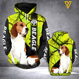 Beagle Dog HCAZ