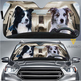 Border Collie Dog CFOW
