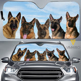 German Shepherd Dog CMEU