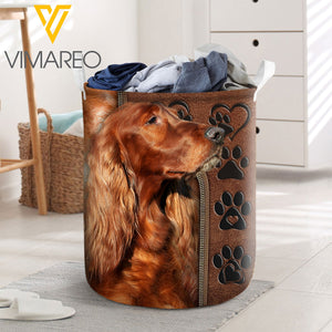 Irish Setter Dog YWIE