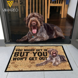 Wirehaired Pointer Dog DUWE