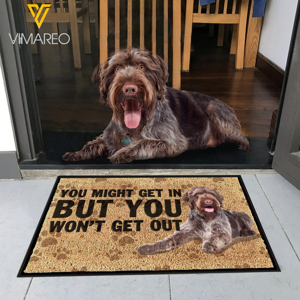 Wirehaired Pointer Dog DUWE