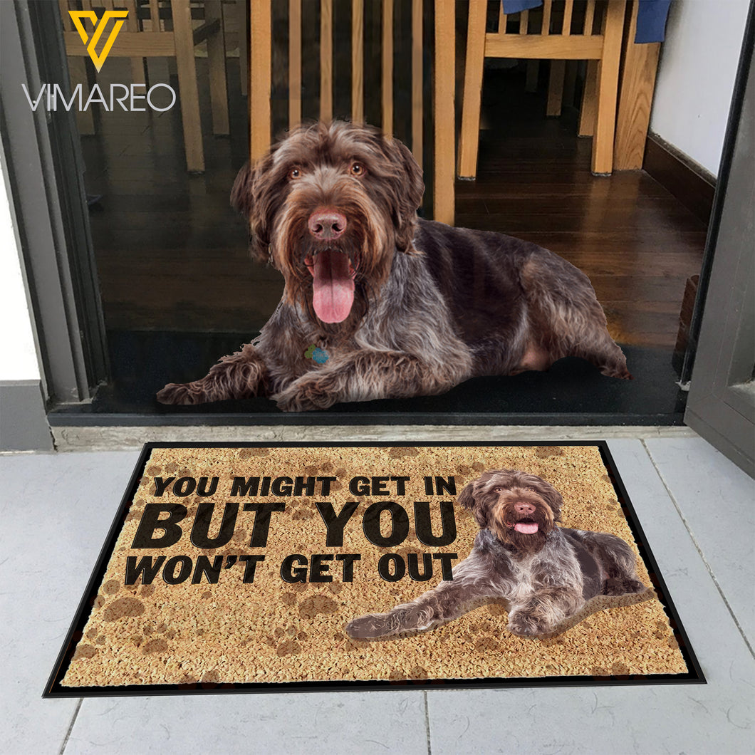 Wirehaired Pointer Dog DUWE
