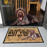 Wirehaired Pointer Dog DUWE